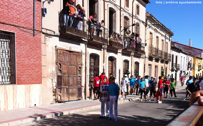 foto de los novillos