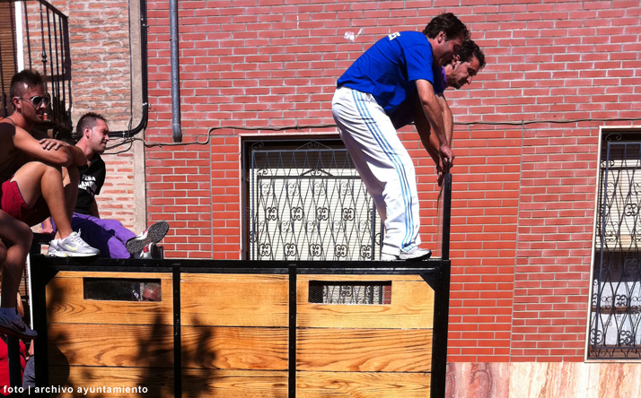 foto de los novillos