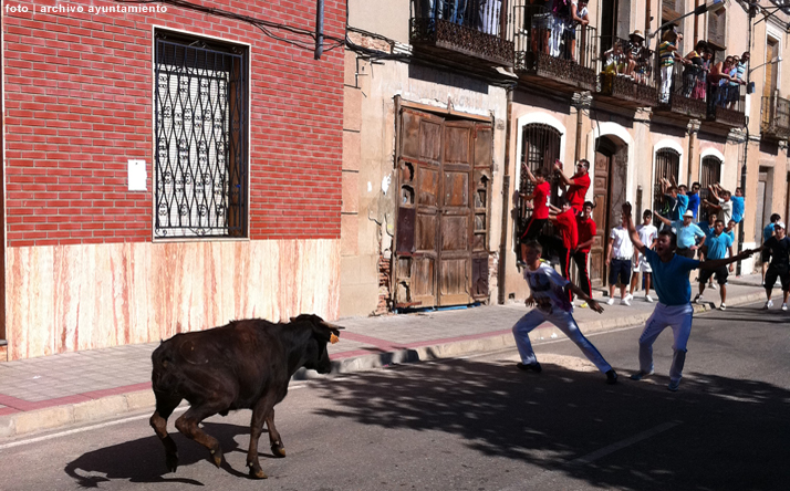 foto de los novillos