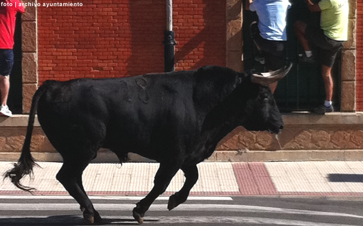 foto de los novillos