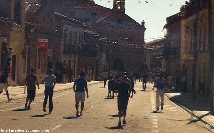 foto de los novillos