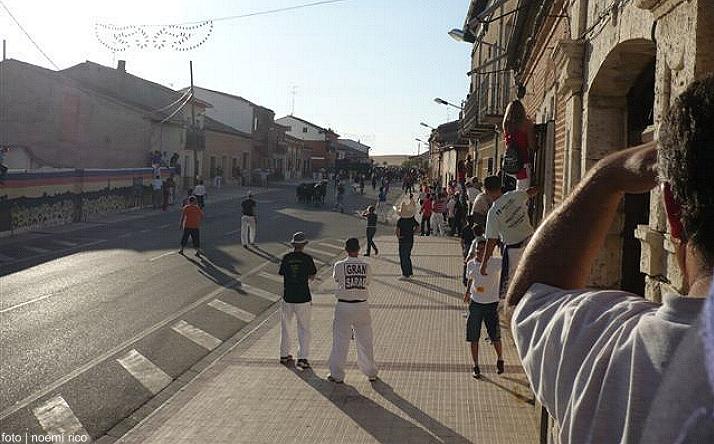 foto de los novillos