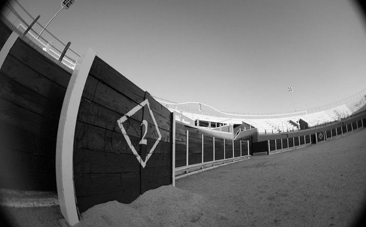 foto de los novillos