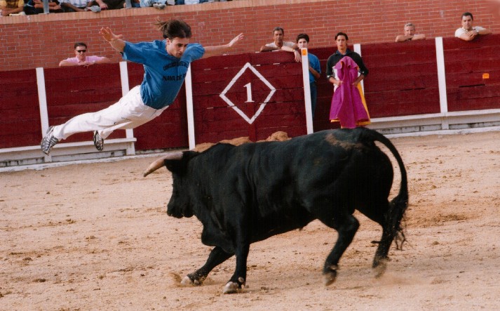 foto de los novillos