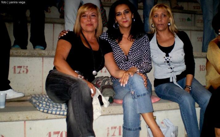 foto de los novillos