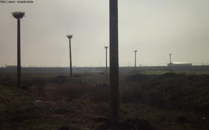 foto de Plataforma Patrimonio