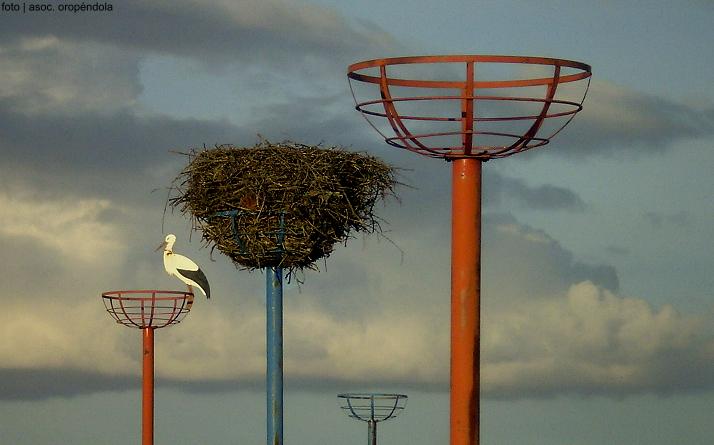 foto de Plataforma Patrimonio