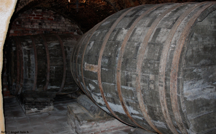 foto de Camino de Santiago