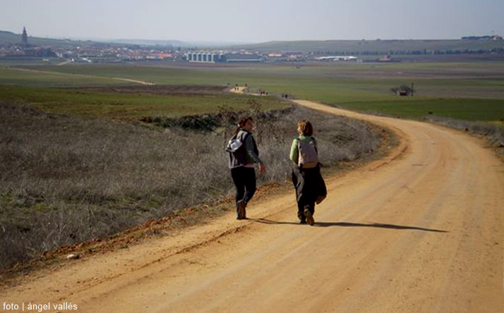 foto de Camino de Santiago