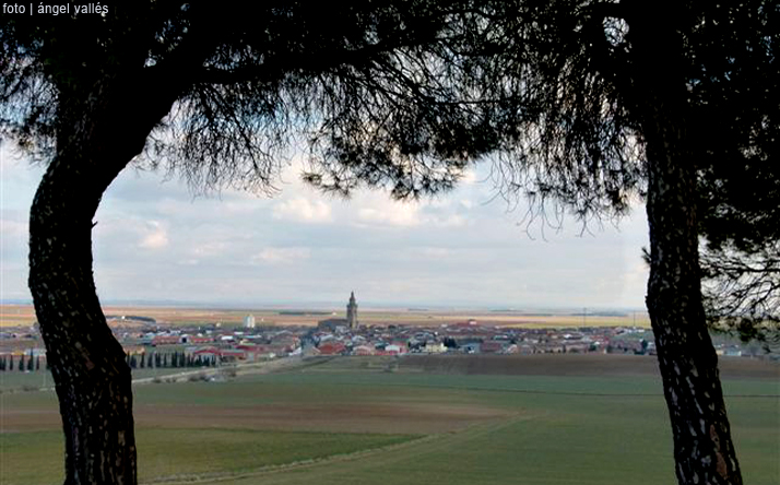 foto de Camino de Santiago