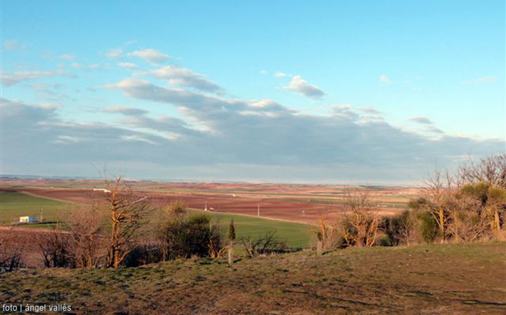 foto de Camino de Santiago