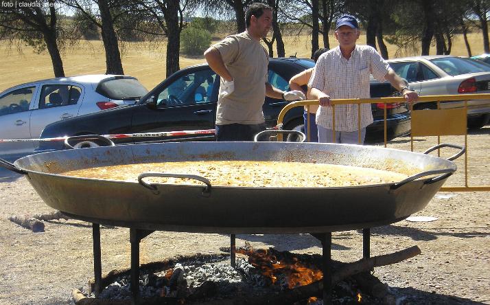 foto de los novillos