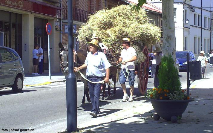 foto de Asoc. El Cribero