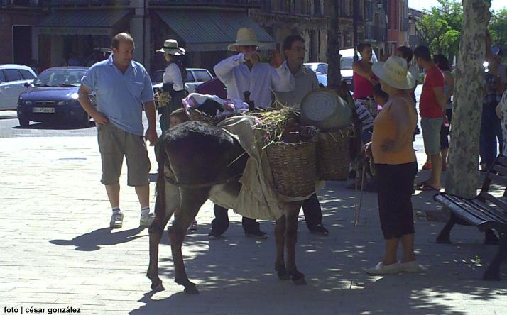 foto de Asoc. El Cribero