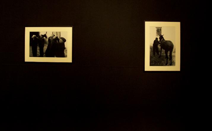 foto de exposiciones