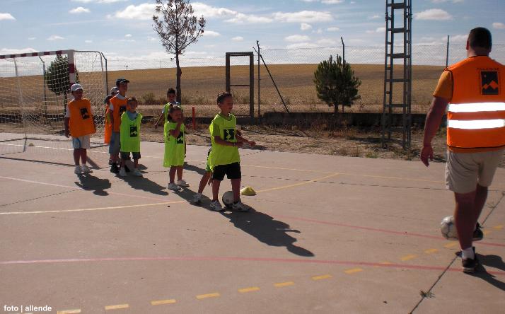 foto de los novillos