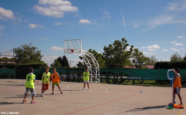 foto de los novillos