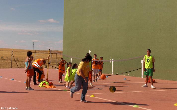 foto de los novillos