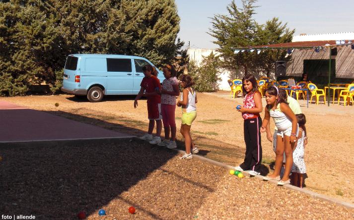 foto de los novillos