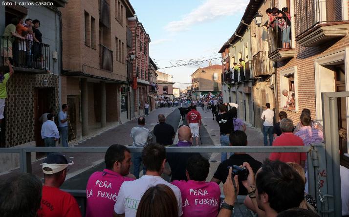 foto de los novillos