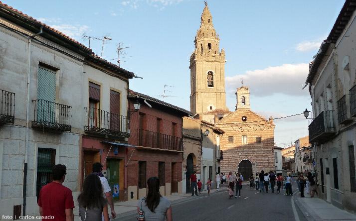 foto de los novillos