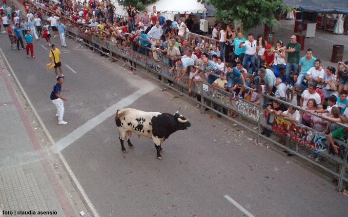 foto de Toro de la Nava