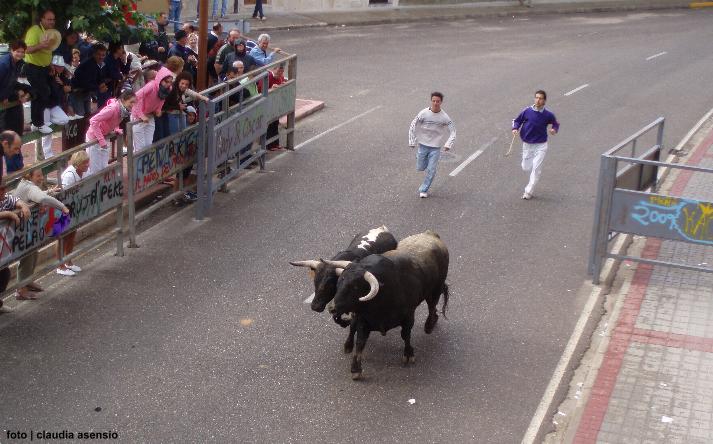 foto de los novillos