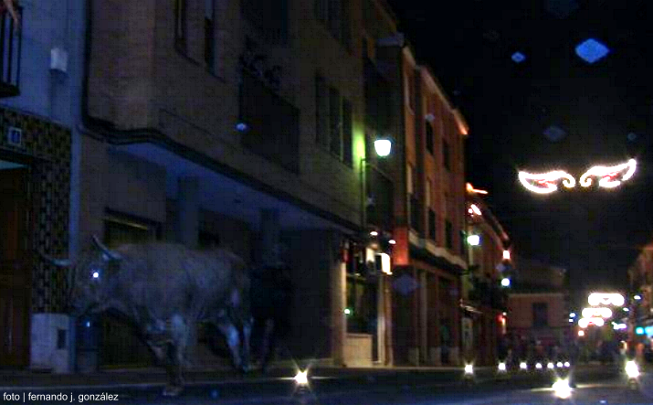 foto de los novillos