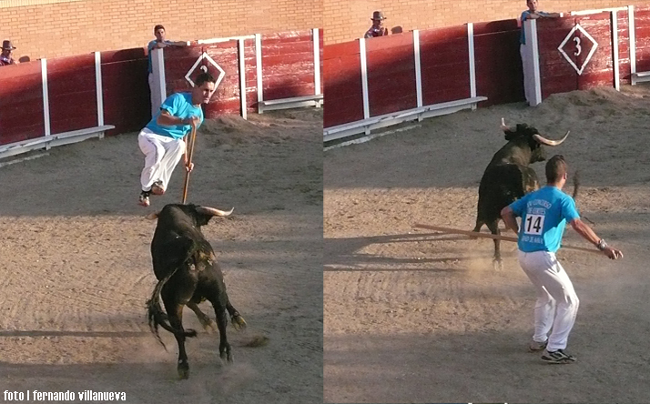 foto de los novillos