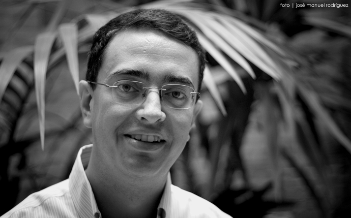 foto de los novillos