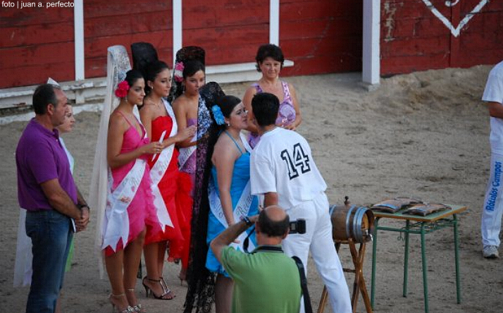 foto de los novillos