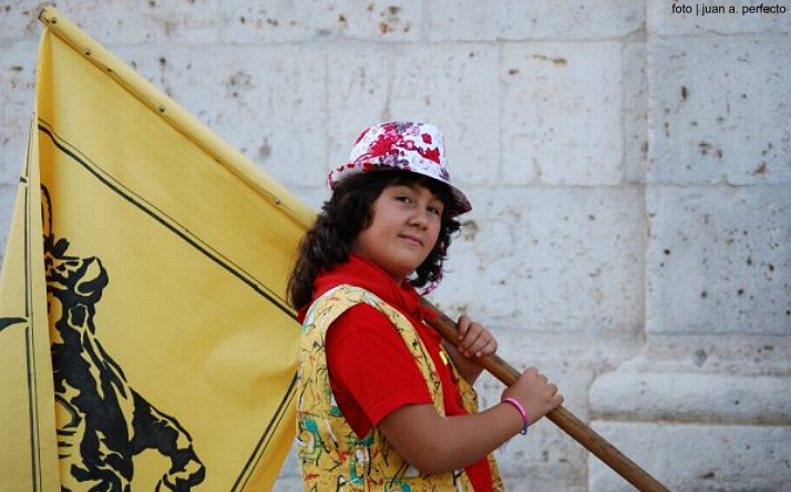 foto de los novillos