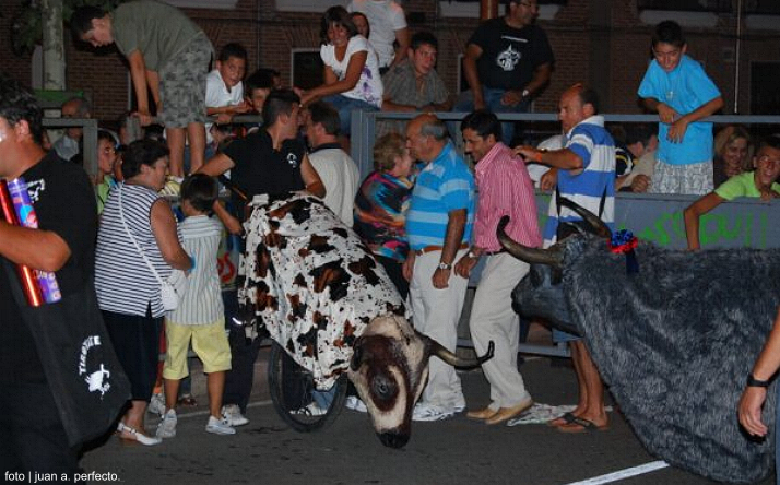 foto de los novillos