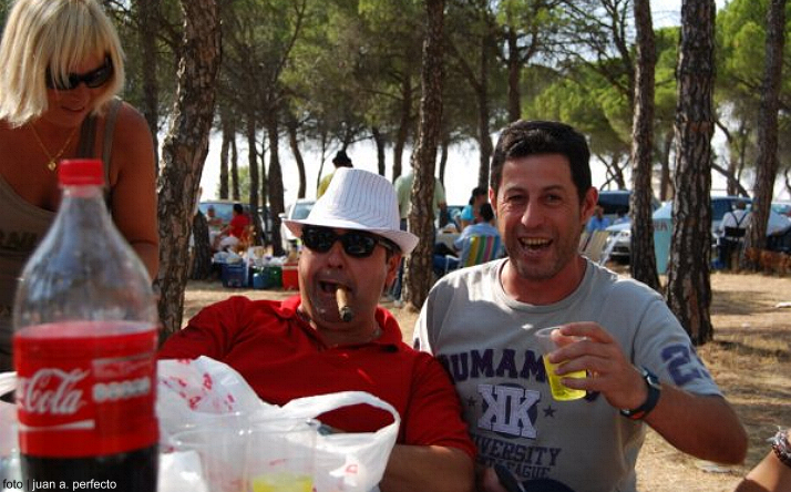 foto de los novillos