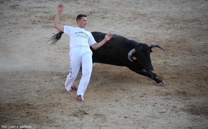 foto de los novillos