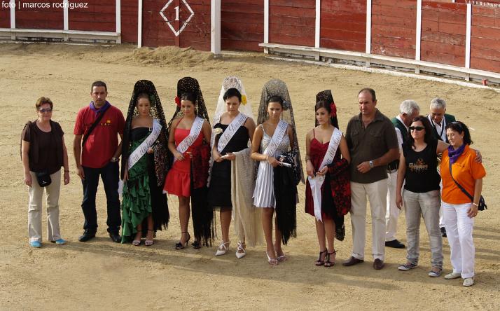 foto de los novillos