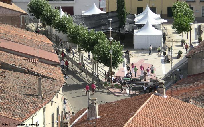 foto de los novillos