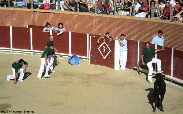 foto de los novillos