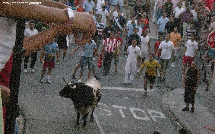 foto de Toro de la Nava