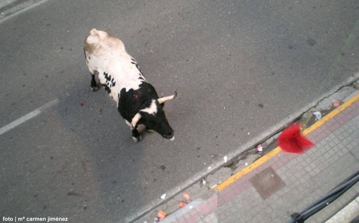 foto de Toro de la Nava