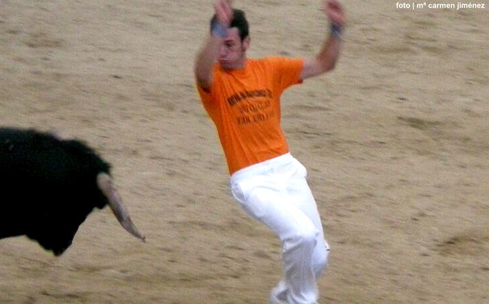 foto de los novillos