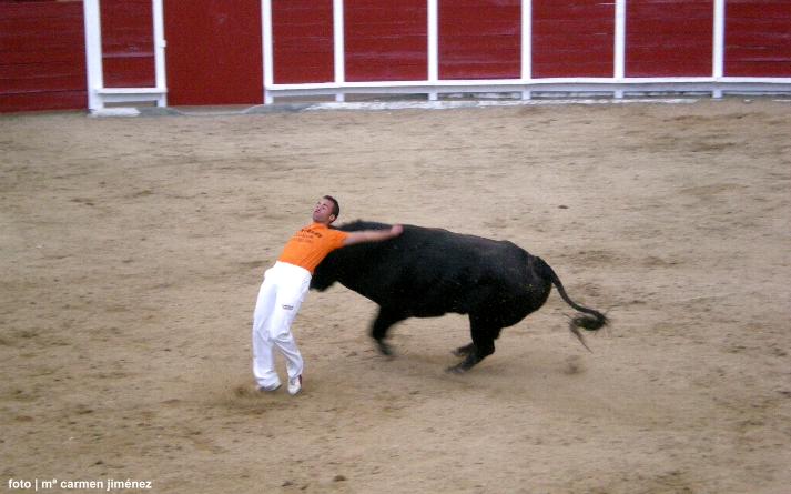 foto de los novillos