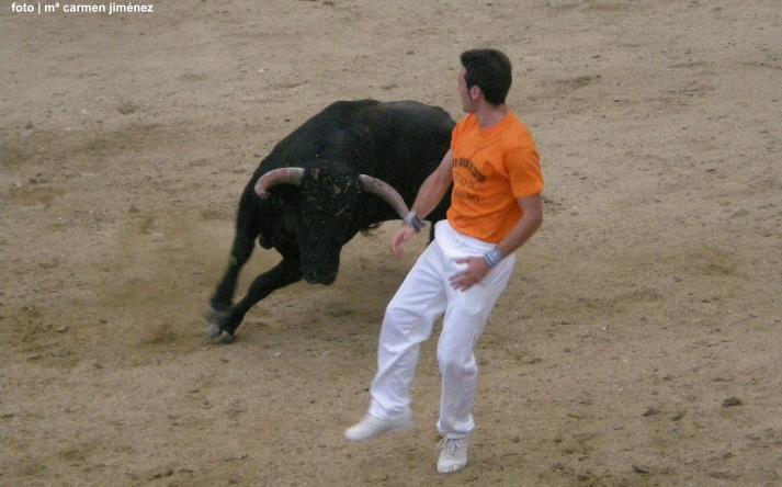 foto de los novillos