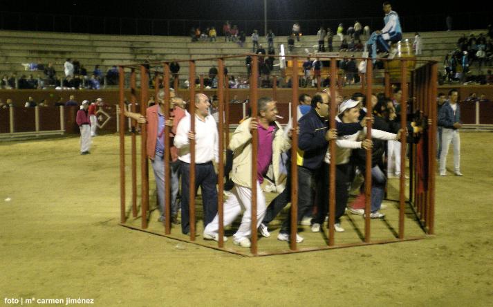 foto de los novillos