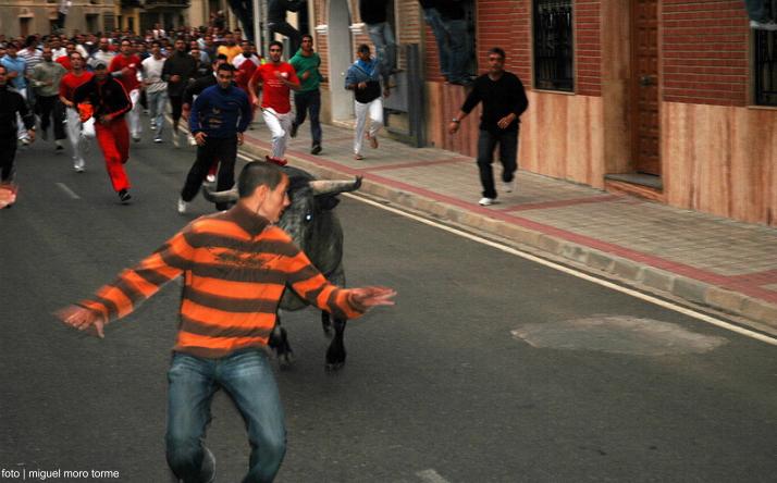 foto de Toro de la Nava