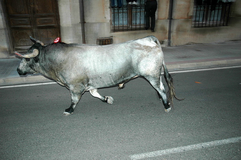 foto de Toro de la Nava