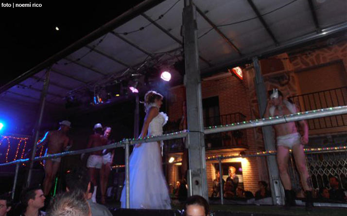 foto de los novillos
