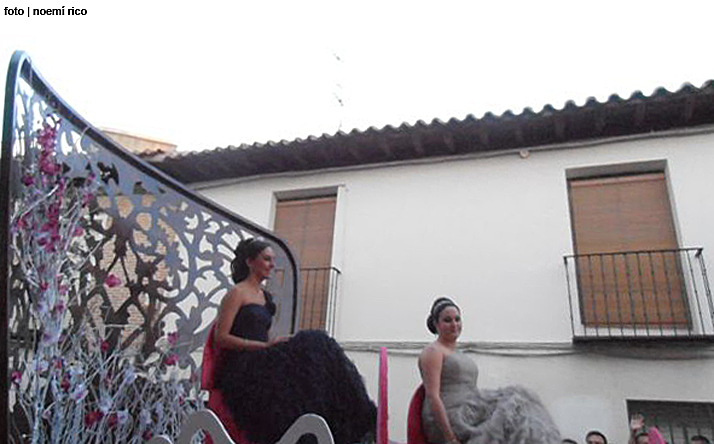 foto de los novillos