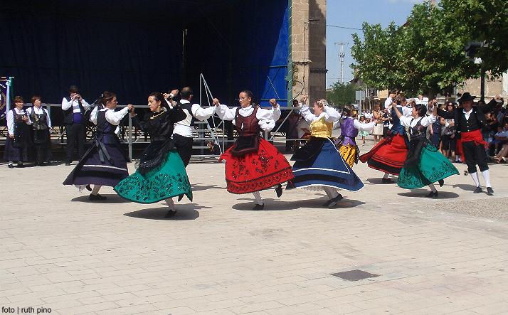 foto de los novillos