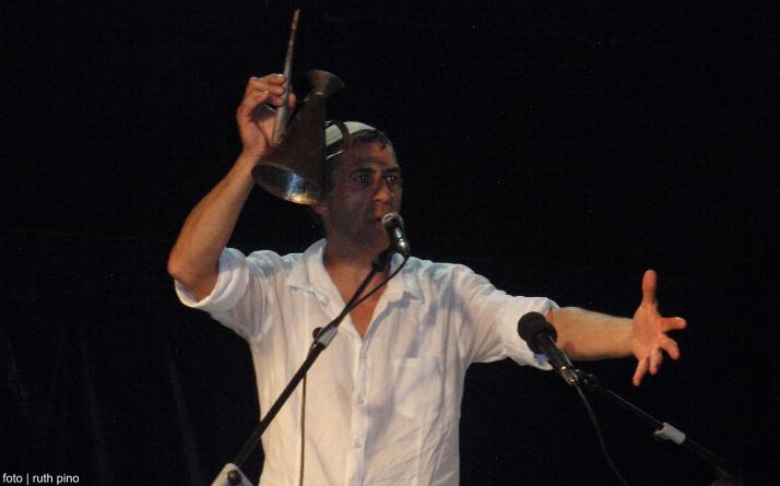 foto de los novillos